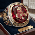 PREMIUM BRX RING PDL